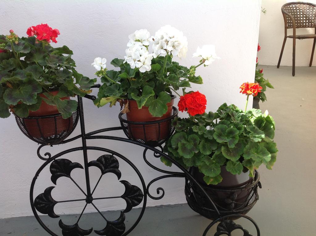 Pansion Zaharoula Fira (Santorini)